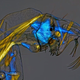 Illustration for article titled Award-winning images of some of the worlds smallest life forms